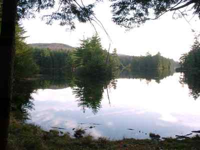 Pond at Bigelow Hollow