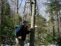 dave examines fungus