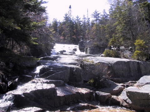 Zealand Falls Hut. Zealand Falls (upstream)