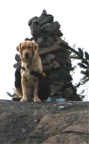 True guards the cairn